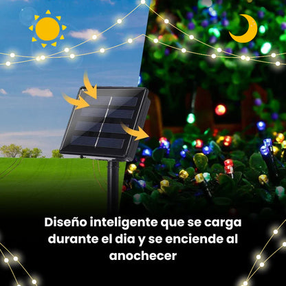 SolarLight Plus 10M - Luces que ahorran energía y cuidan tu bolsillo