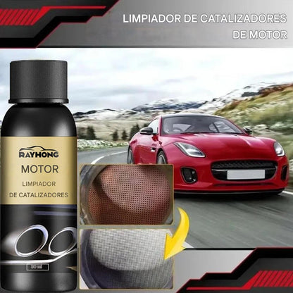 Rayhond Motor: Limpiador de catalizador y sistema de combustible 🔥
