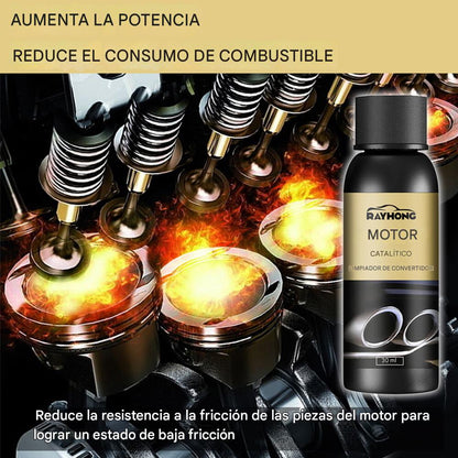 Rayhond Motor: Limpiador de catalizador y sistema de combustible 🔥